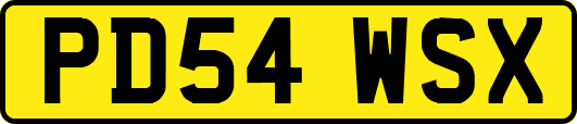 PD54WSX