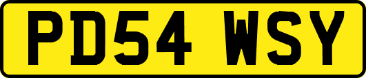 PD54WSY