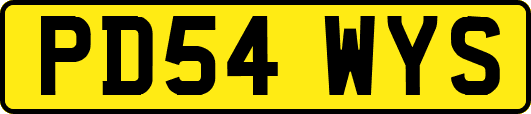 PD54WYS