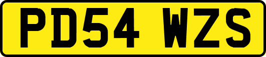 PD54WZS