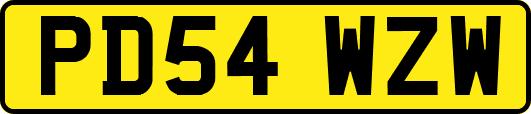 PD54WZW