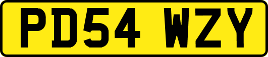 PD54WZY