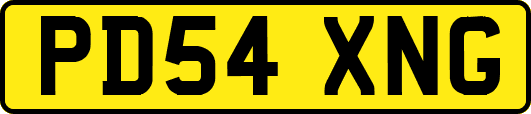 PD54XNG
