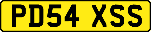 PD54XSS