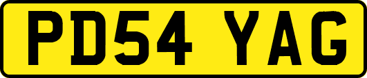 PD54YAG