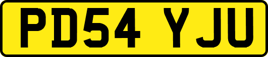 PD54YJU