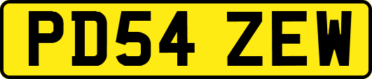 PD54ZEW