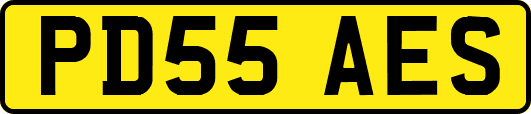 PD55AES