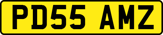 PD55AMZ