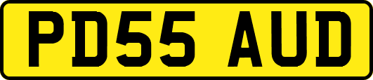 PD55AUD