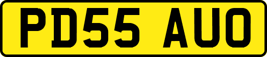 PD55AUO
