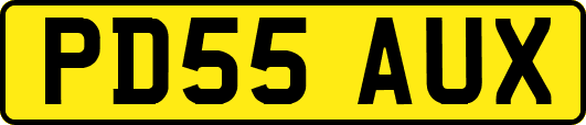 PD55AUX