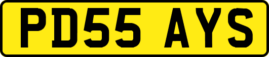 PD55AYS