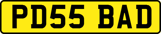 PD55BAD