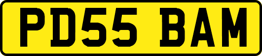 PD55BAM
