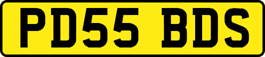 PD55BDS