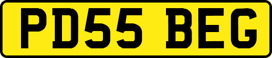 PD55BEG