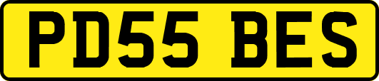 PD55BES