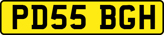 PD55BGH