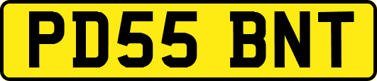 PD55BNT