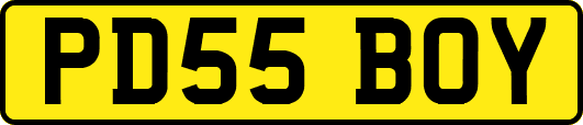 PD55BOY