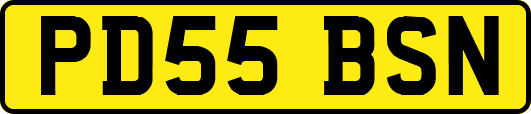 PD55BSN