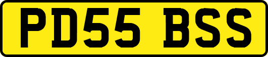 PD55BSS