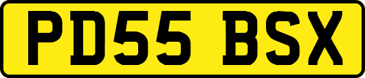 PD55BSX
