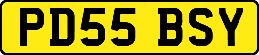 PD55BSY