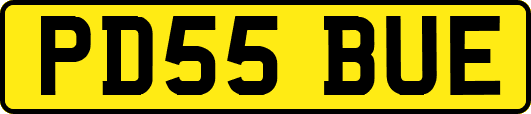 PD55BUE