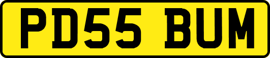 PD55BUM