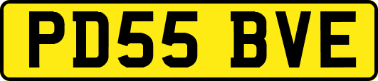 PD55BVE