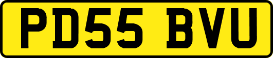 PD55BVU
