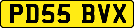 PD55BVX