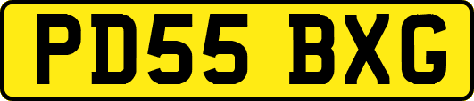 PD55BXG
