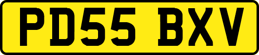 PD55BXV