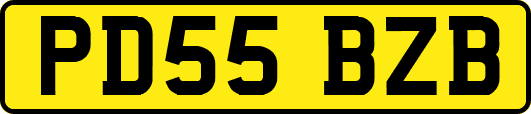 PD55BZB