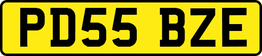 PD55BZE