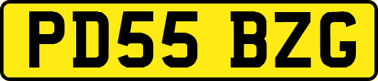 PD55BZG