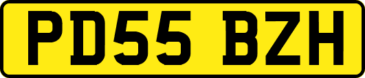 PD55BZH