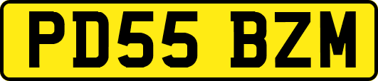 PD55BZM