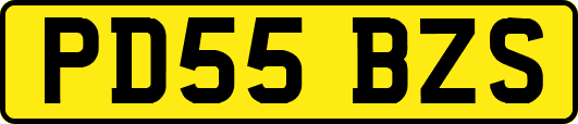PD55BZS