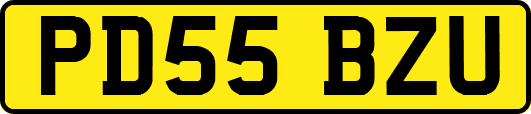 PD55BZU