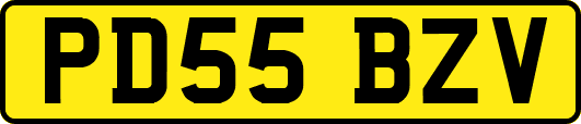 PD55BZV