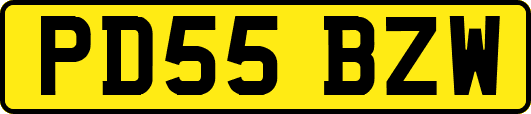 PD55BZW