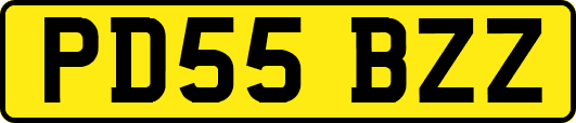 PD55BZZ