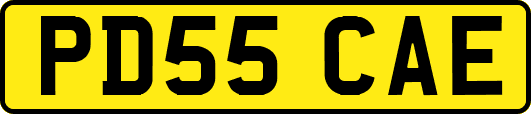 PD55CAE
