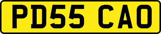 PD55CAO