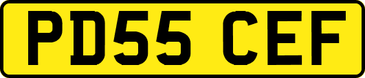 PD55CEF