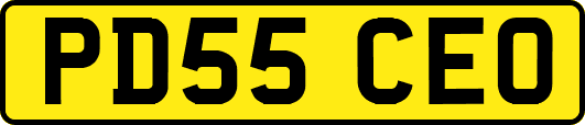 PD55CEO